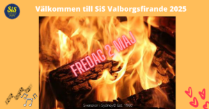 A fire in the image to depict Svenskor i Sydneys Valborgsfirande 2025